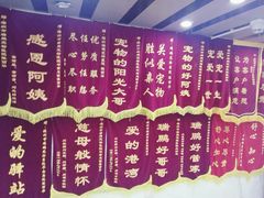 -瑞鹏宠物医院华南总院·夜诊·心脏科·骨科