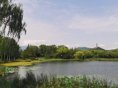 -北坞公园