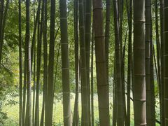 -敬亭山风景名胜区