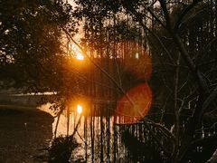 -上海共青森林公园