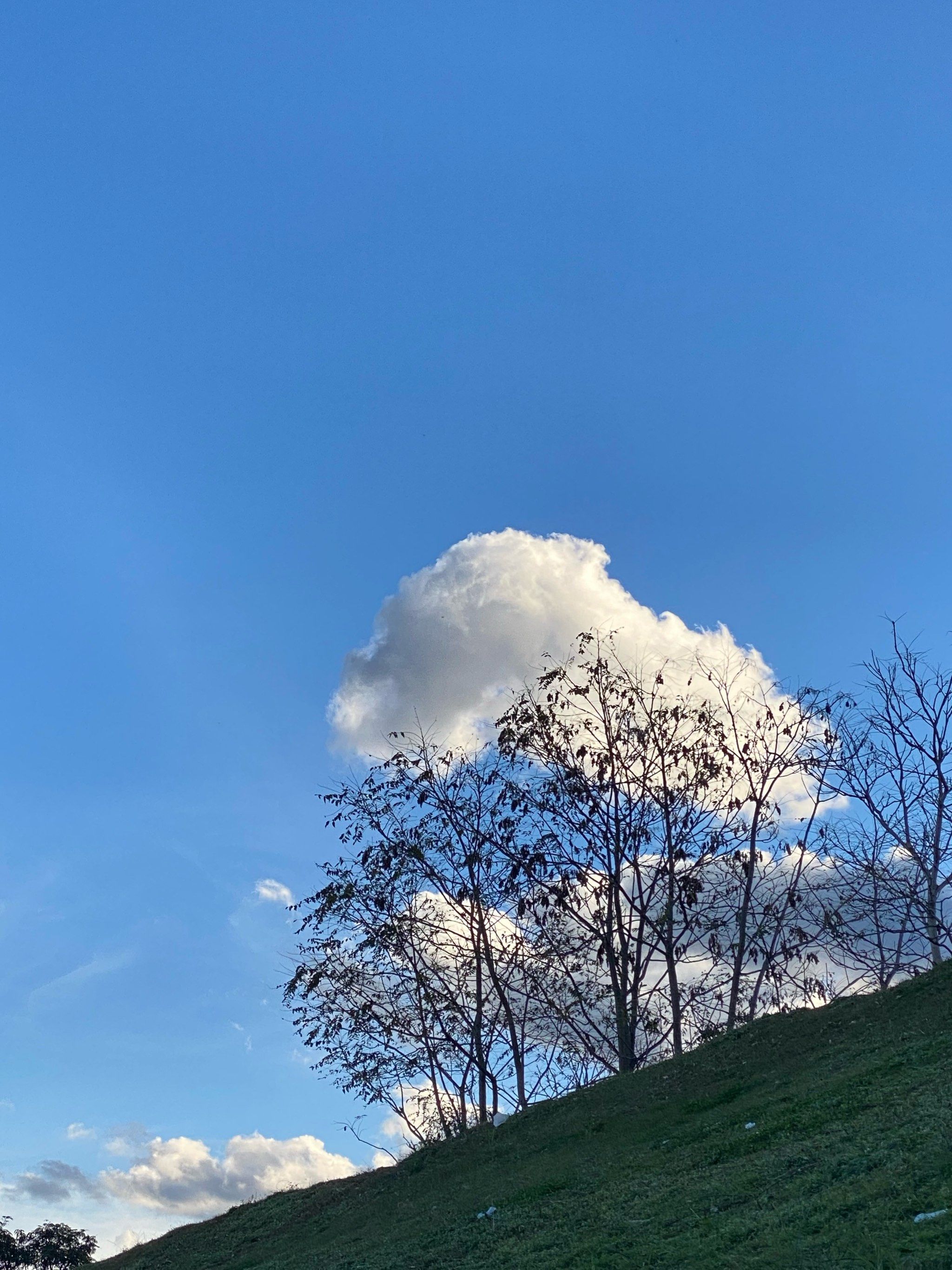 大理冬天的云朵永远好看!