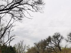-长春净月潭风景名胜区