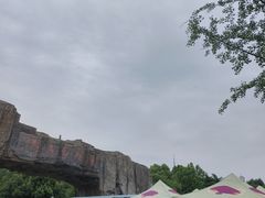 -合肥野生动物园