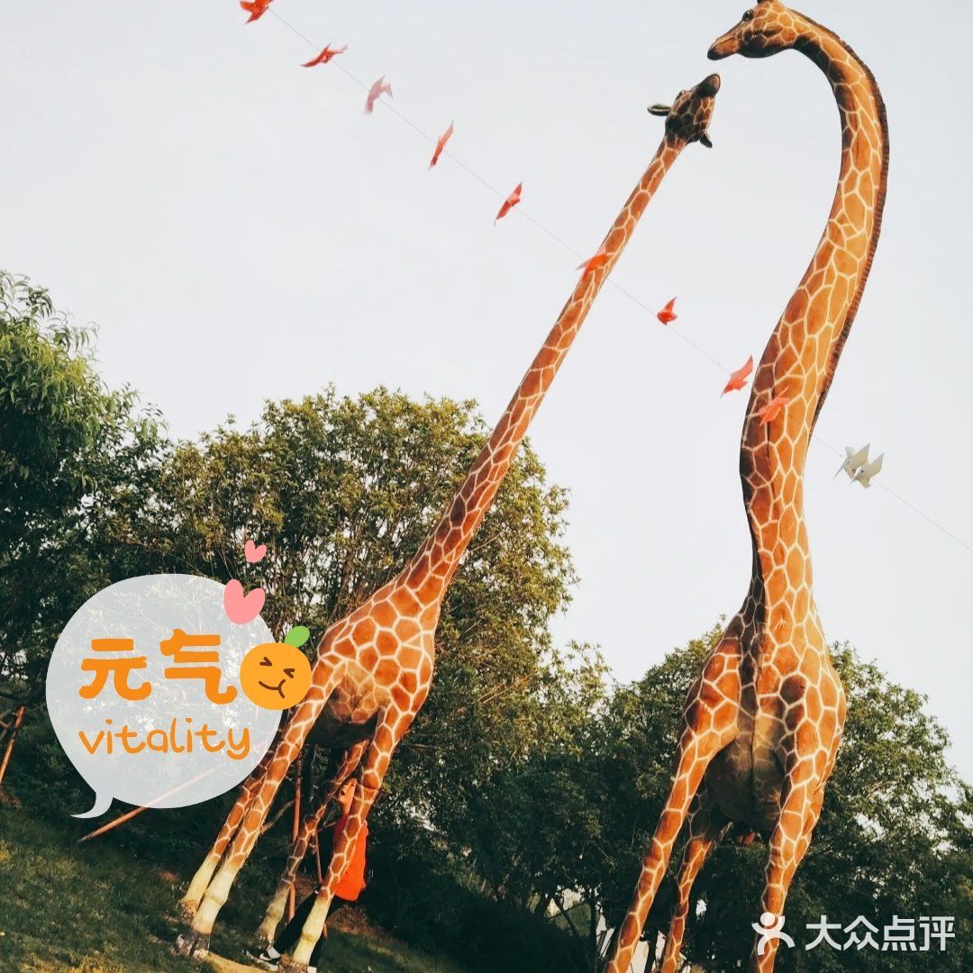 来苏州欢乐岛游乐园感受夏日阳光的拥抱