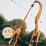 来苏州欢乐岛游乐园感受夏日阳光的拥抱