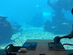 -海棠湾洲际-涛·海底餐厅·美人鱼·自助餐·海底隧道