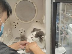 -FAELING PETS美天灵宠物(合生汇店)
