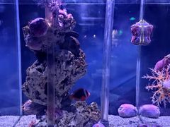 -太平洋海底世界