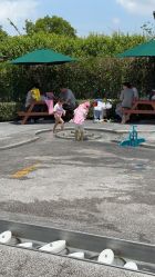 点击看大图 -季高兔窝窝亲子园(上海薰衣草公园店)