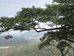 -广州市帽峰山景区