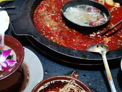 -渝大狮毛肚老火锅(普陀店)