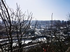 -高尔山公园