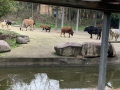 -宁波野生动物园