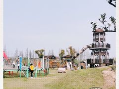 -上海长兴岛郊野公园