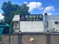 -肥佬椰子鸡(文锦渡店)