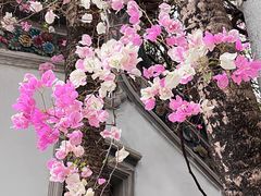 -深圳国际园林花卉博览园