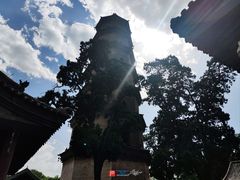 -晋祠公园