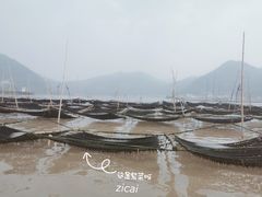 -北岐滩涂