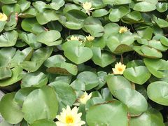 -白塘生态植物园