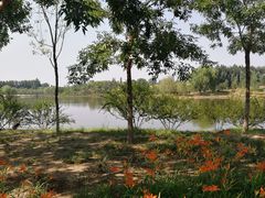 -东郊湿地公园