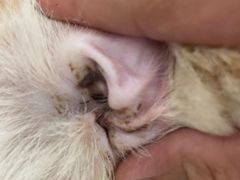 -comecome来吧宠物(奥克斯中心店)