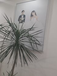 -北遇映画PHOTO GRAPHY STUDIO