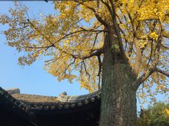 -木渎古镇
