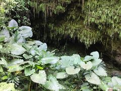 -海口火山口国家地质公园