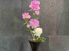 -帝京日语(春熙路旗舰校区)