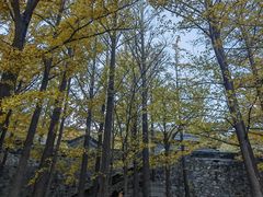 -阳台山自然风景区