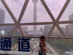 -陕西自然博物馆