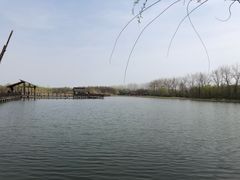 -溱湖国家湿地公园