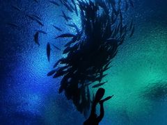 -珠海长隆海洋王国