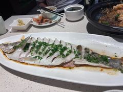-船歌·鱼水饺青岛菜(金狮广场店)