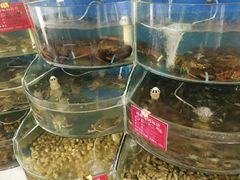-叶存利海鲜大馅饺子(东戴河止锚湾店)