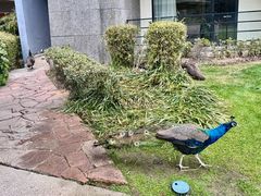 -天目湖涵田度假村