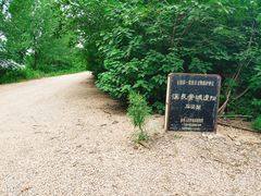 -汉长安城未央宫国家考古遗址公园