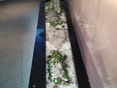-马家斑.鲜鱼火锅(松湖万科店)
