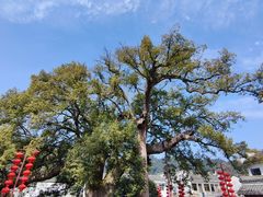 -新安江山水画廊风景区