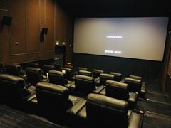 -万达影城(闵行颛桥万达广场杜比影院店)