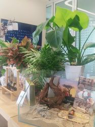 -dōTERRA多特瑞精油生活馆