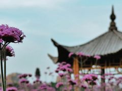 -杭州城北体育公园