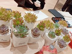 -Alexander McQueen(IAPM环贸广场店)