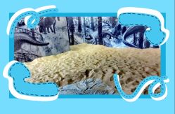 -恐龙探索乐园(磁器口店)