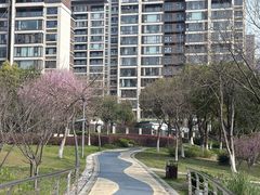 -映月湖中央公园