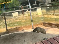 -南戴河国际娱乐中心