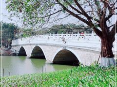 -海珠湖公园
