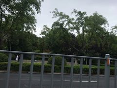 -赭山公园