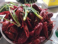 -同銮特种养殖场·龙虾垂钓