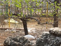 -丽泽山庄·生态怀柔菜·虹鳟鱼(红螺寺店)